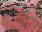 Polished Rhodonite Slab - Australia #65443-1